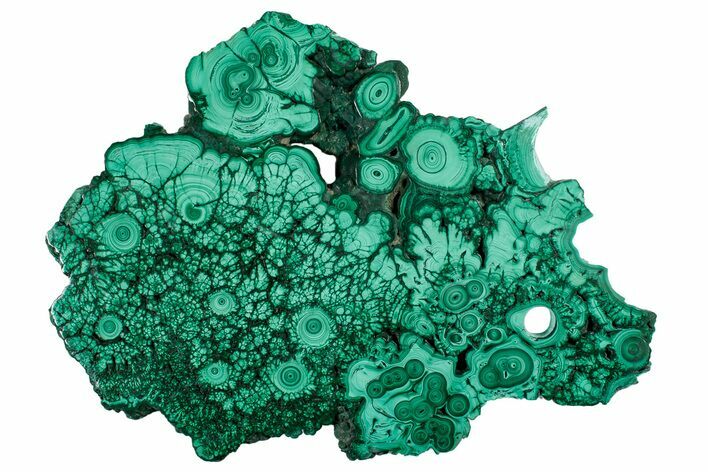 Flowery Polished Malachite Slab - DR Congo #302475